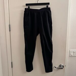 Banana Republic Standard Athletic Pants